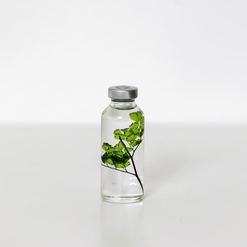 Bottle Plant / Adiantum tenerum / SPS_004 - Immerged Plant