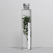 Bottle Plant / Goanacrow / SPM_010 - Immerged Plant