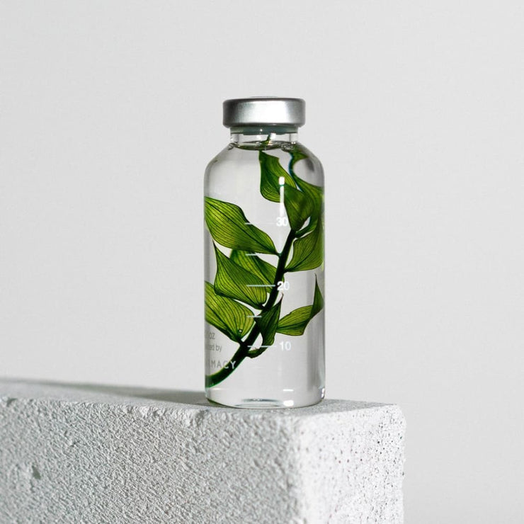 Bottle Plant / Ruscus aculeatus / SPS_010 - Immerged Plant
