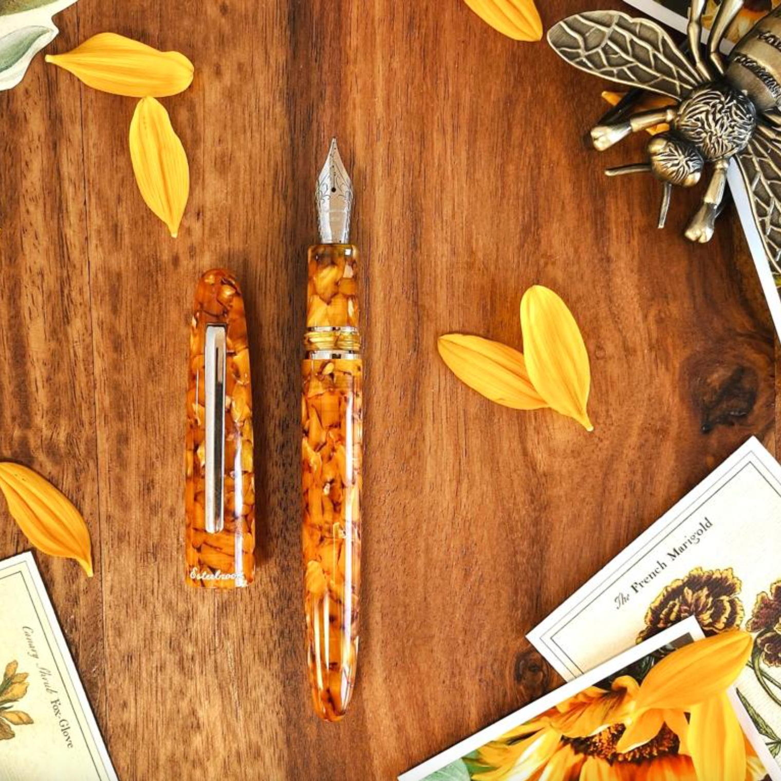 Estie Oversized Honeycomb / Gold Trim Fountain pen - Custom Needle Point Nib