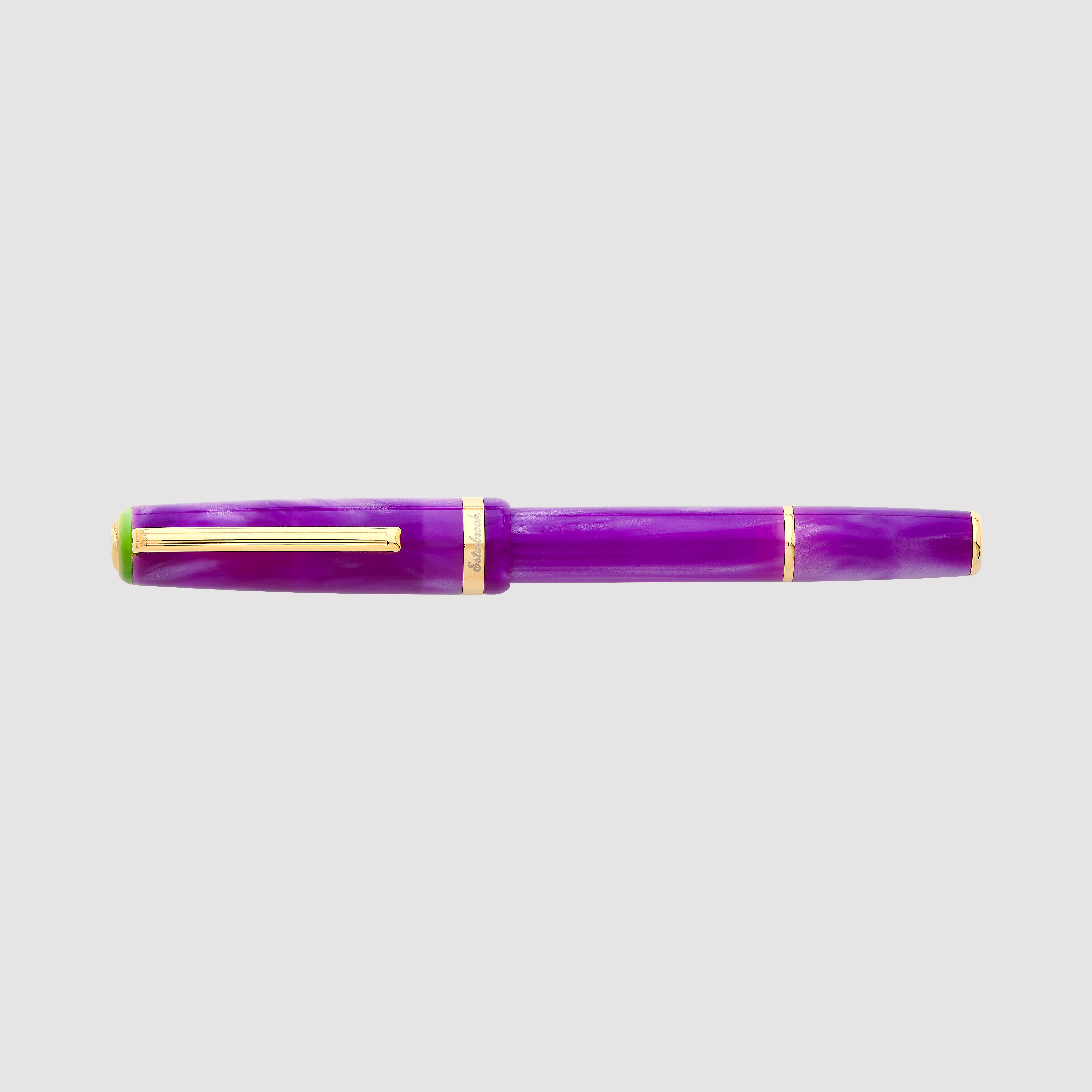 JR Pocket Pen - Paradise - Purple Passion Gold Trim - Custom Scribe Nib