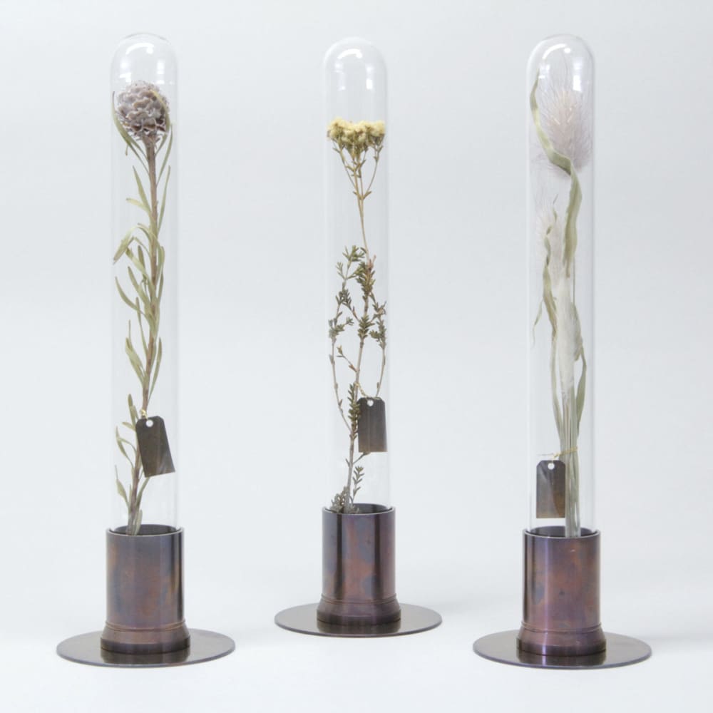 HERBARIUM BRASS GLASS DOME & FLOWER VASE RUST - Vase