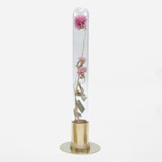 HERBARIUM BRASS GLASS DOME & FLOWER VASE SOLID - Vase