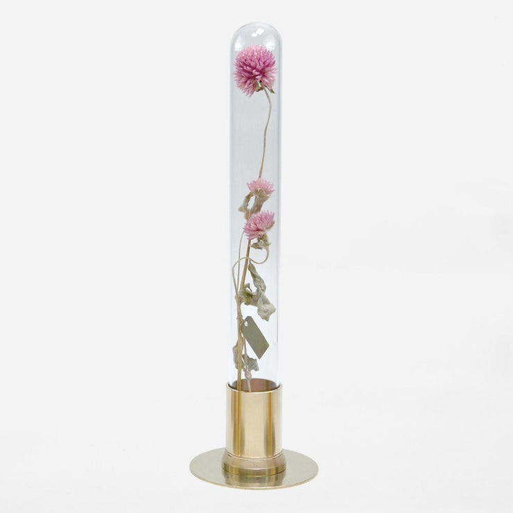 HERBARIUM BRASS GLASS DOME & FLOWER VASE SOLID - Vase