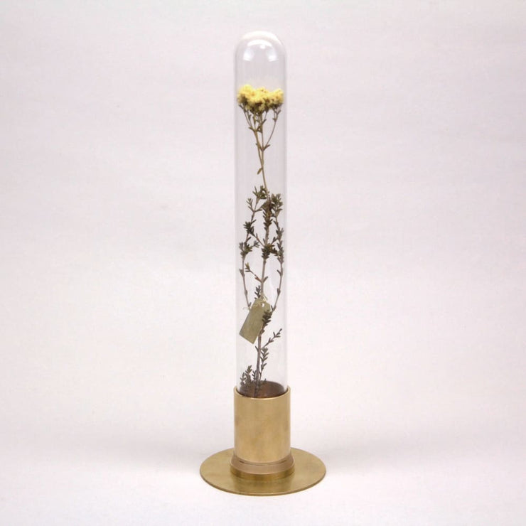 HERBARIUM BRASS GLASS DOME & FLOWER VASE SOLID - Vase