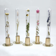 HERBARIUM BRASS GLASS DOME & FLOWER VASE SOLID - Vase