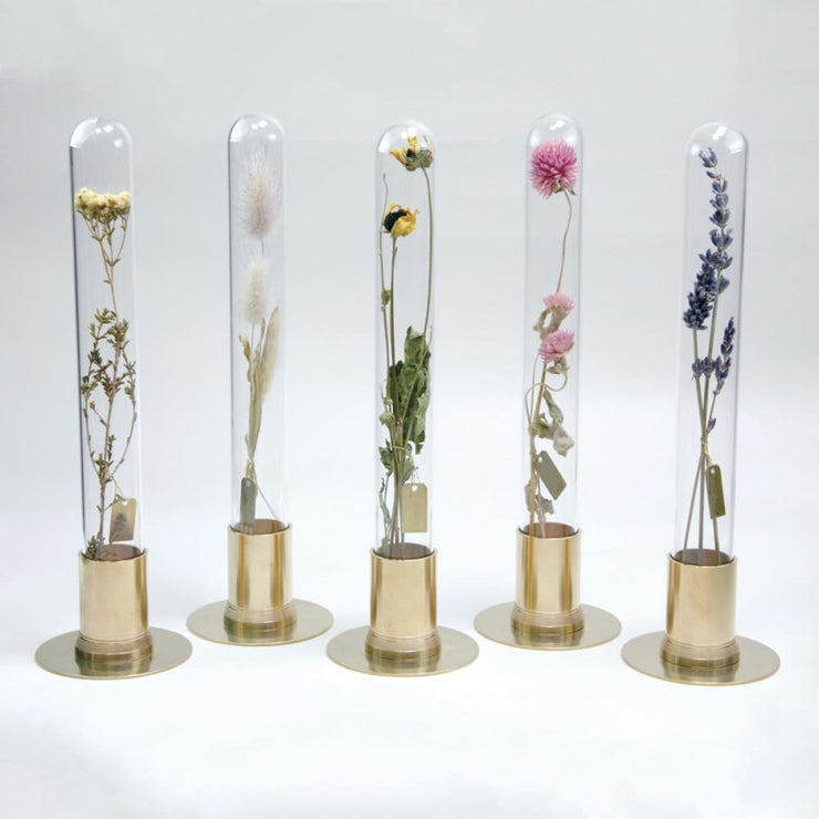 HERBARIUM BRASS GLASS DOME & FLOWER VASE SOLID - Vase
