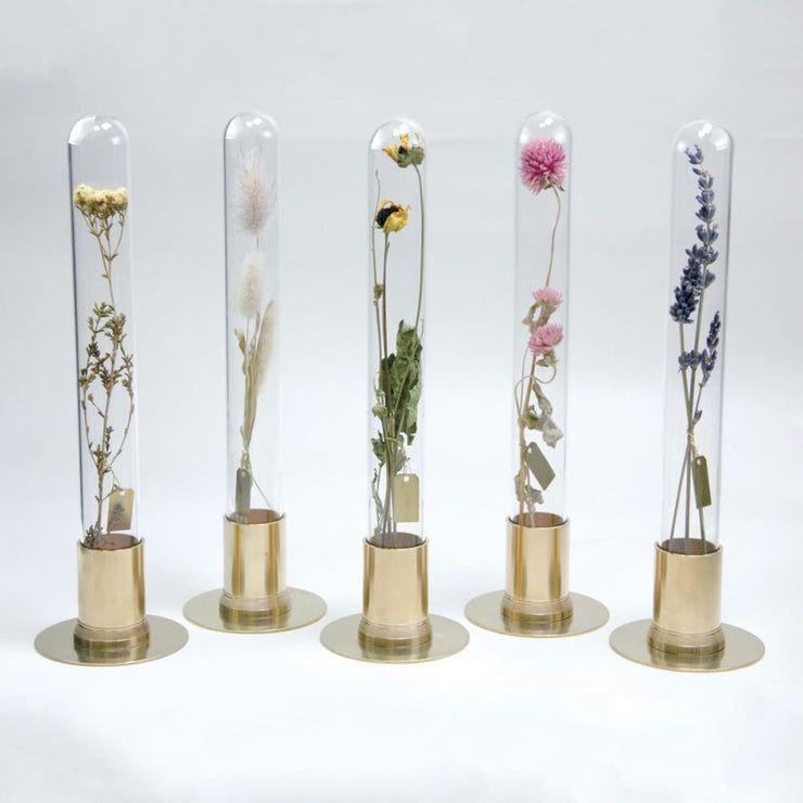 HERBARIUM BRASS GLASS DOME & FLOWER VASE SOLID - Vase