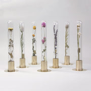HERBARIUM BRASS GLASS DOME & FLOWER VASE SOLID - Vase