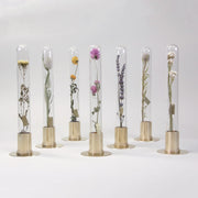 HERBARIUM BRASS GLASS DOME & FLOWER VASE SOLID - Vase
