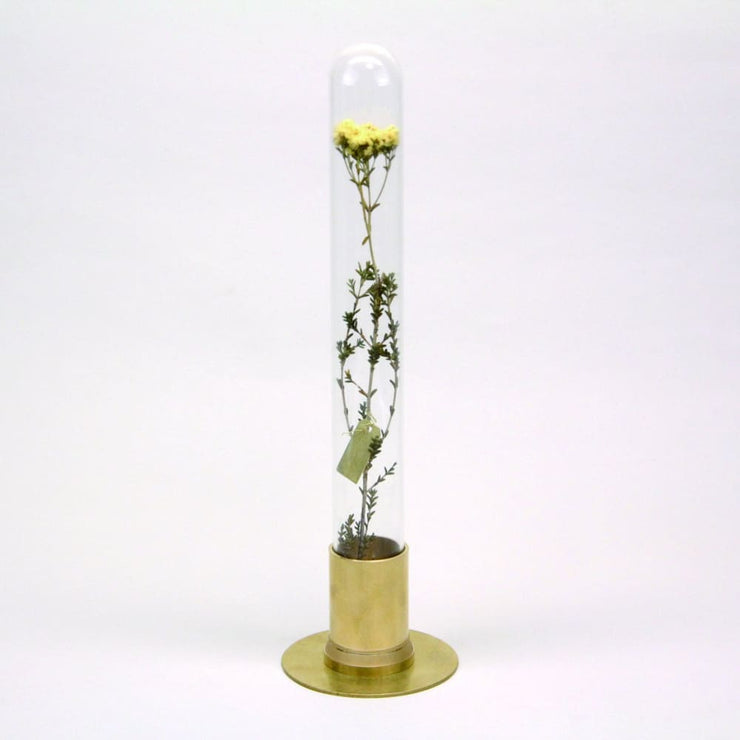 HERBARIUM BRASS GLASS DOME & FLOWER VASE SOLID - Vase
