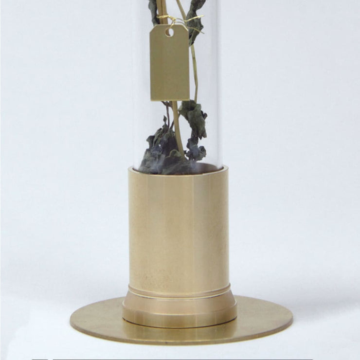 HERBARIUM BRASS GLASS DOME & FLOWER VASE SOLID - Vase
