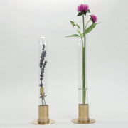 HERBARIUM BRASS GLASS DOME & FLOWER VASE SOLID - Vase