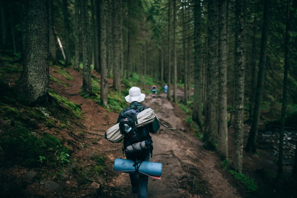 hiking in the forest