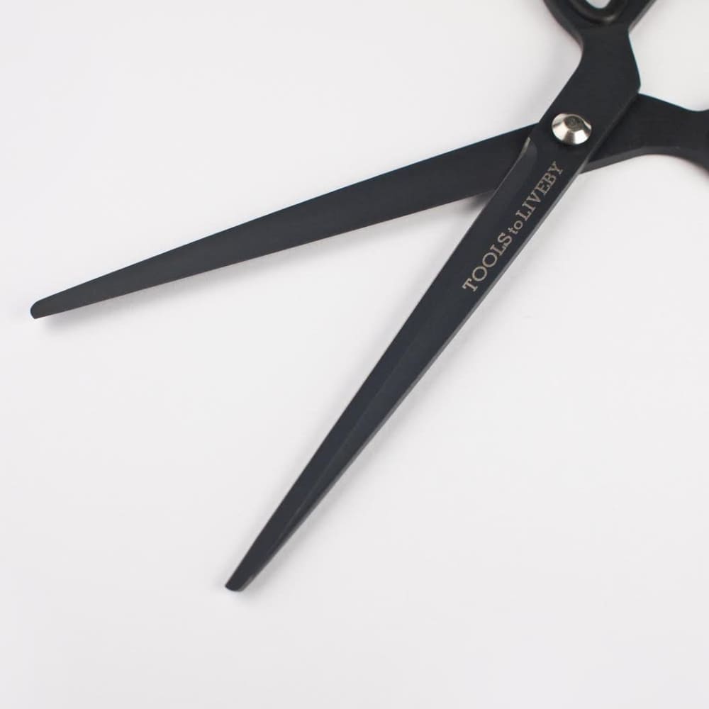 scissors 8 / black - Scissors